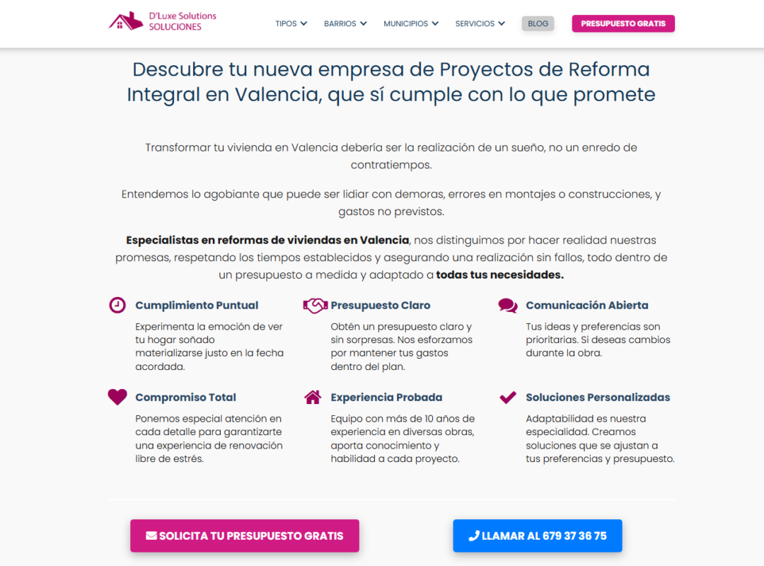 DluxeSolutions portada 1