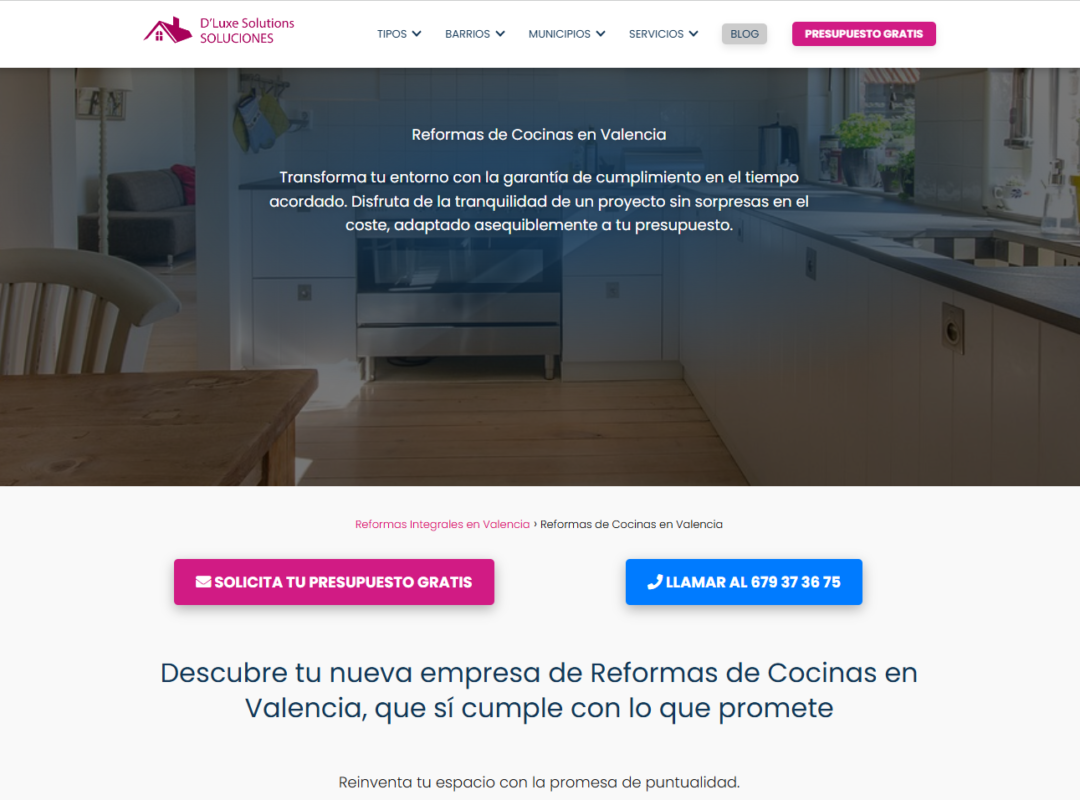 DluxeSolutions portada 4